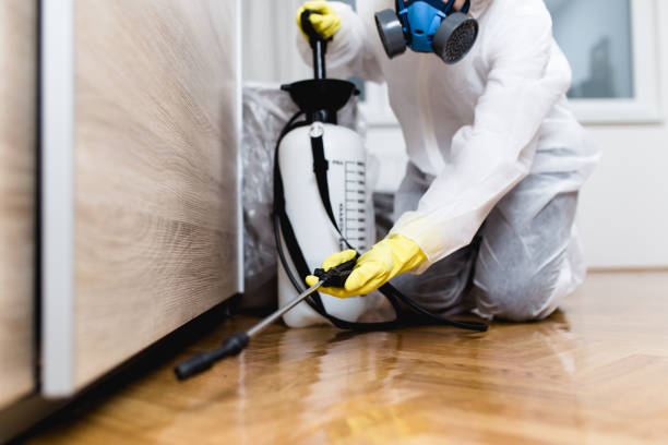 Pest Control Cost in Madison Center, CT