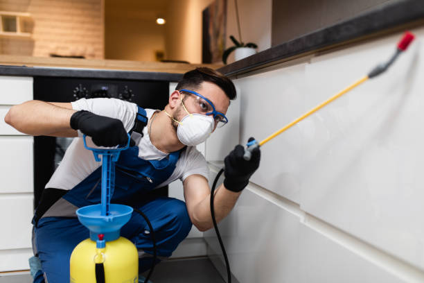 Best Bed Bug Extermination  in Madison Center, CT