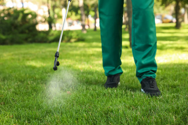 Best Best Pest Control Companies  in Madison Center, CT