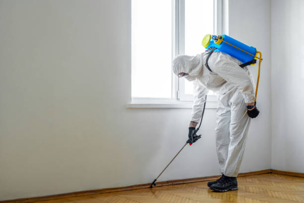 Best Best Pest Control Companies  in Madison Center, CT