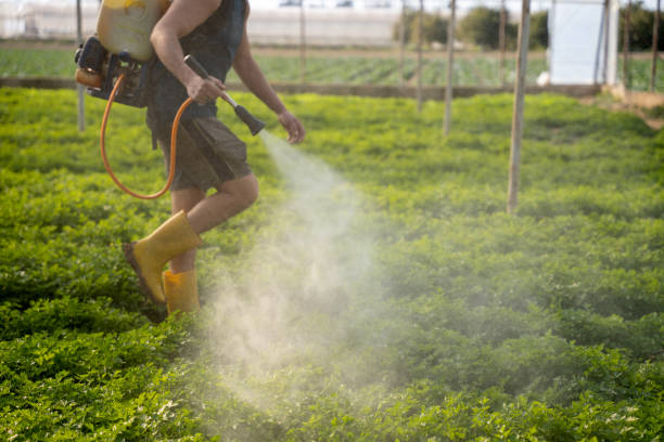 Best Affordable Pest Control Services  in Madison Center, CT