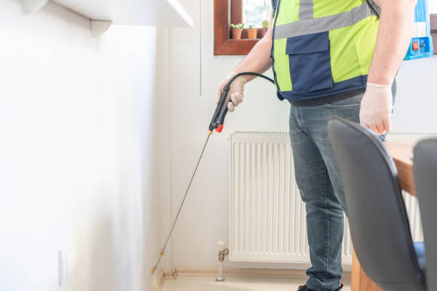 Wasp Removal Services in Madison Center, CT