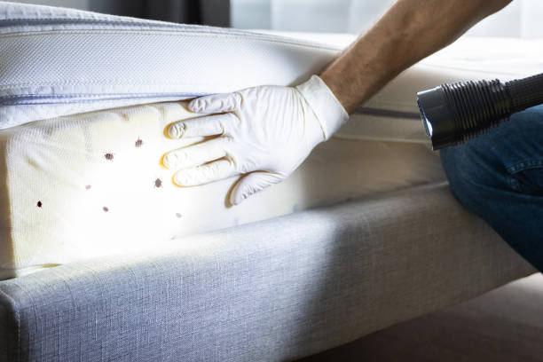 Best Pest Prevention Services  in Madison Center, CT