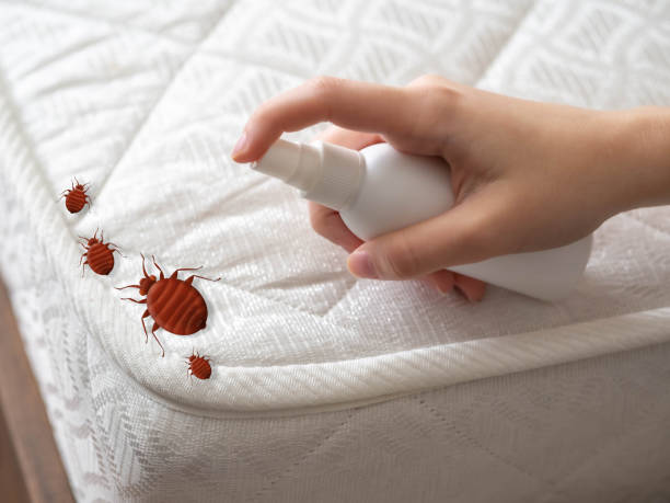 Best Best Pest Control Companies  in Madison Center, CT