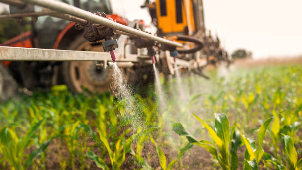 Best Commercial Pest Control Services  in Madison Center, CT